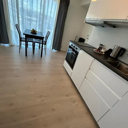 公寓 Lisas Apartment, Private New 1 Bedroom And 1 Living With Sofa Bed And Big Windows, Share With Nobody 奥斯陆