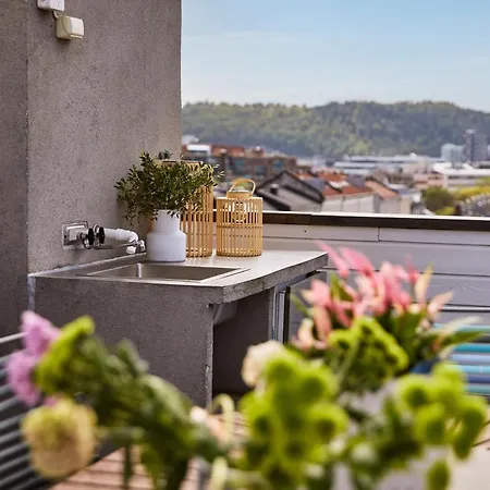Apartment Penthouse In Oslo