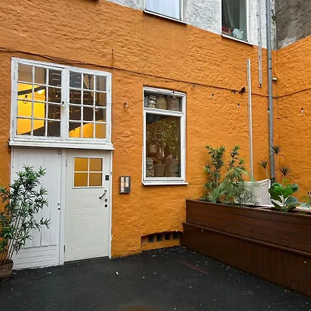 Cozy Studio Leilighet