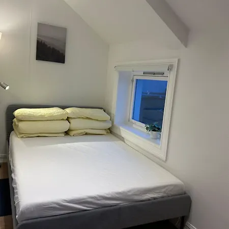 Cozy Studio Leilighet