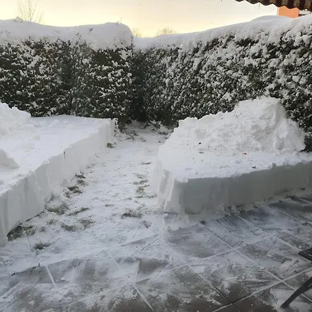 Leilighet+hage Oslo