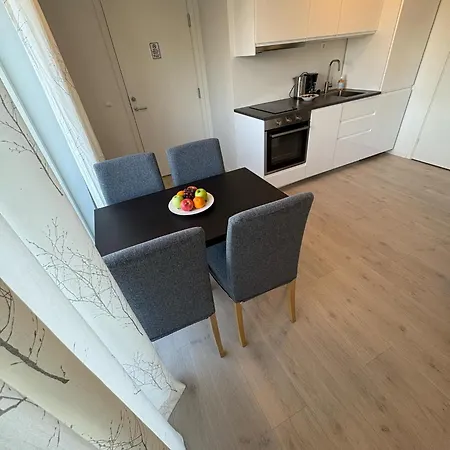 Lisas Apartment, Private New 1 Bedroom And 1 Living With Sofa Bed And Big Windows, Share With Nobody 奥斯陆