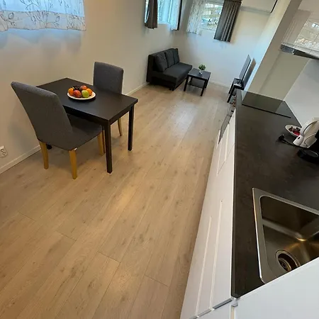Temis Apartment, Private New 1 Bed And 1 Living With Sofa Bad And Lagre Kitchen, Share With Nobody * Oslo