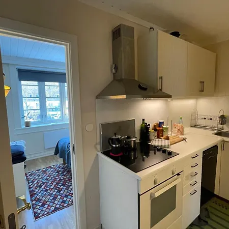 Cozy Close To The Center * Oslo