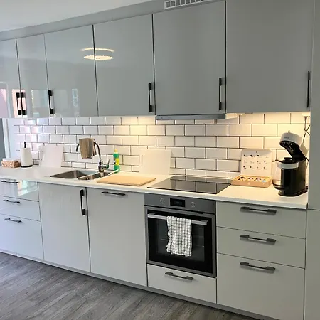 Apartamento 3br Penthouse In Center With Free Parking Oslo