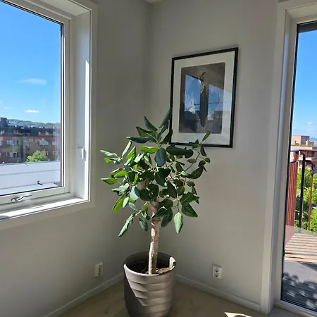 Apartment Luxury View With 2 Bedrooms And A Balcony Oslo