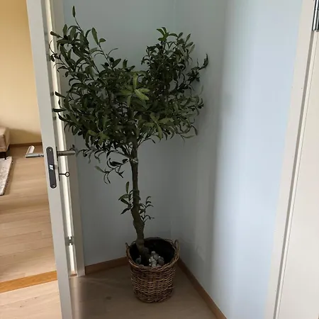 In The Middle Of Apartman Oslo