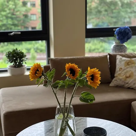 In The Middle Of Apartman *