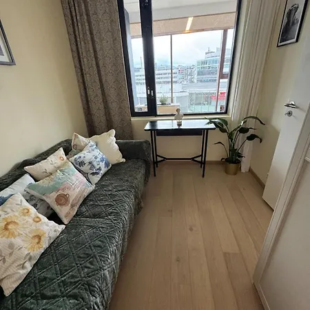Apartman In The Middle Of Oslo