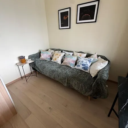 In The Middle Of Apartman Oslo