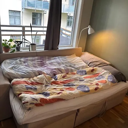 Apartman Center Of Oslo, Quiet Area And Close To The Palace *