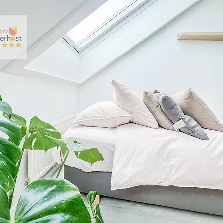 Royal Deluxe Bed Watching Stars Fast Wifi
